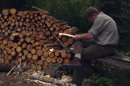 bushcraft-ray