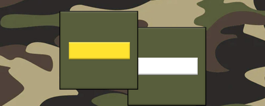 Fiche métier : sous‑lieutenant Armée Française