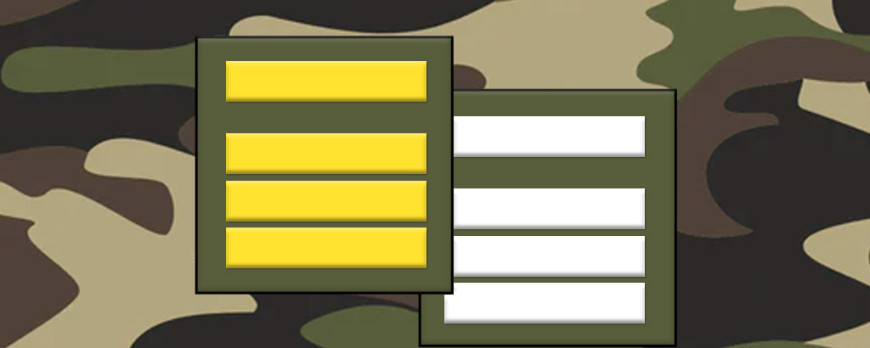 Fiche métier : Commandant de l'armée française