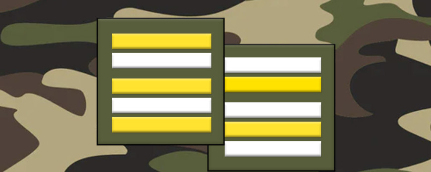 Fiche métier : Lieutenant-colonel t de l'armée française