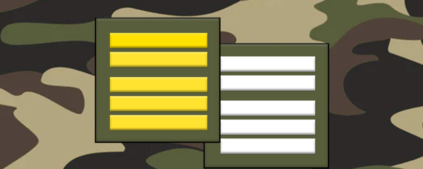 Fiche métier : Colonel de l'armée française