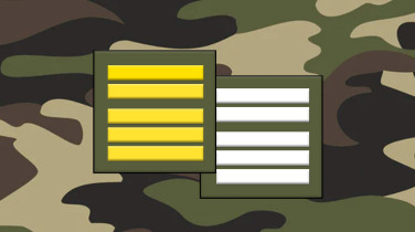 Fiche métier : Colonel de l'armée française